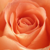 マンション売却10-9